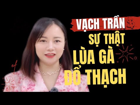 Tin tức 1