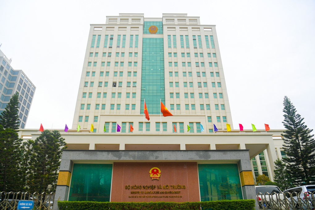 Tin tức 1