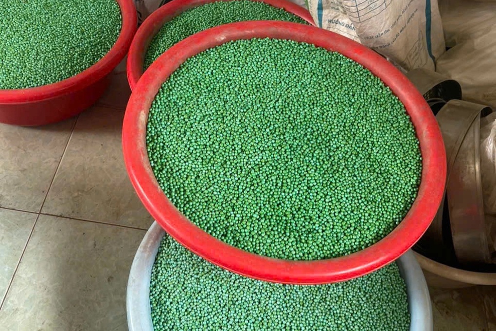 Tin tức 1