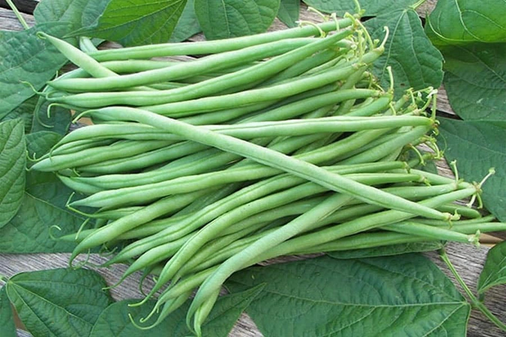 Tin tức 1
