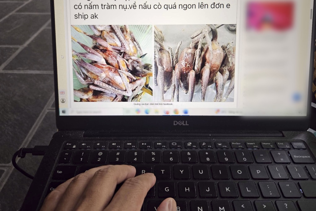 Tin tức 1