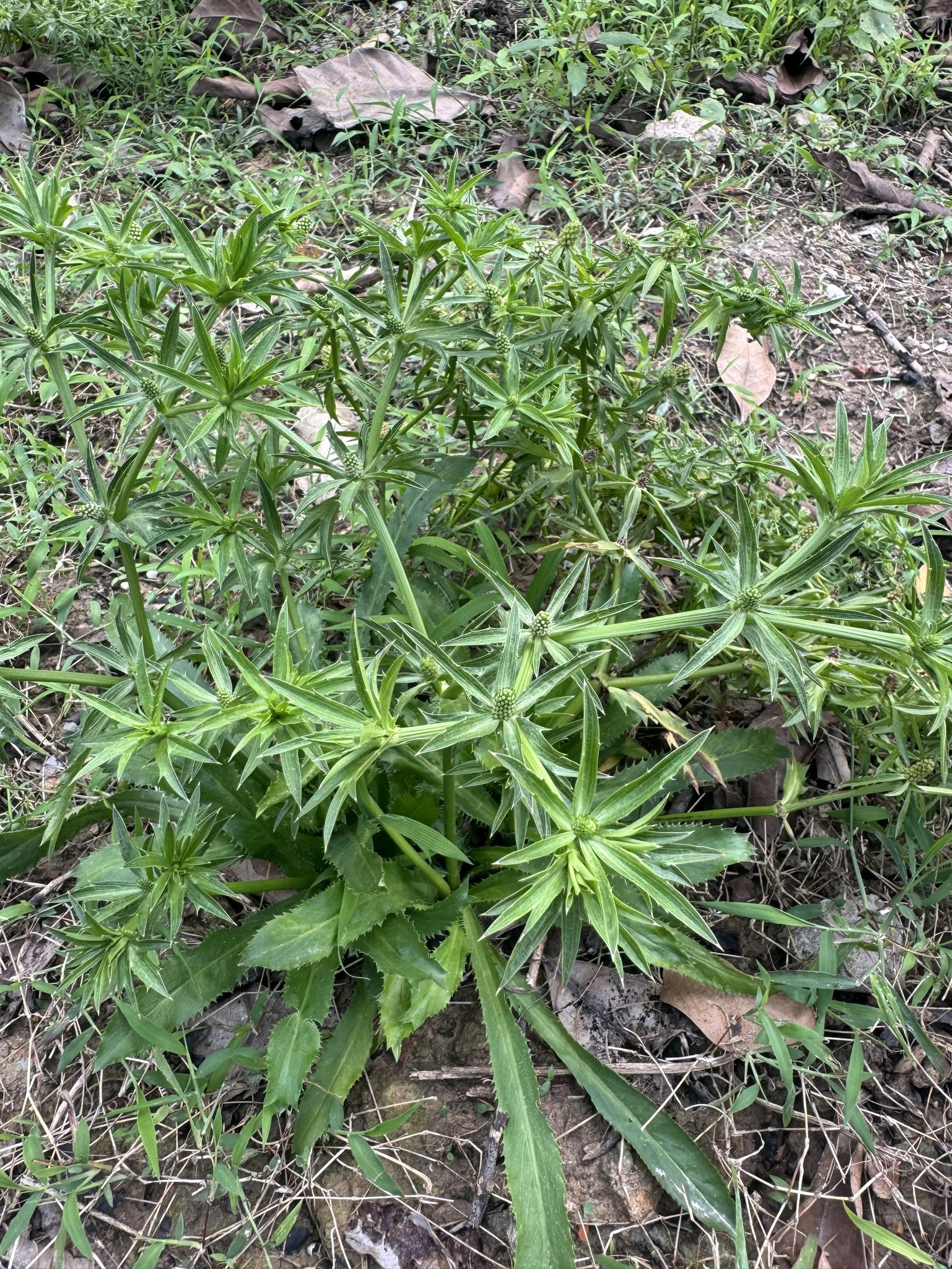 Tin tức 1
