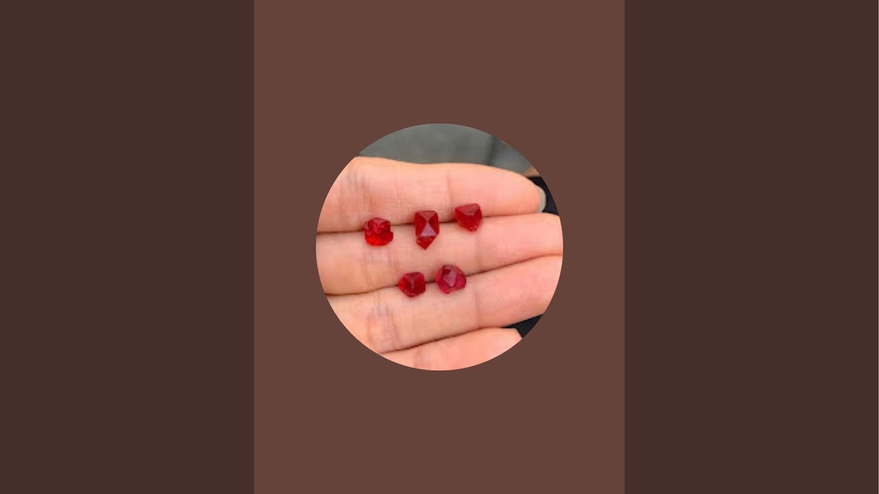 Tin tức 1