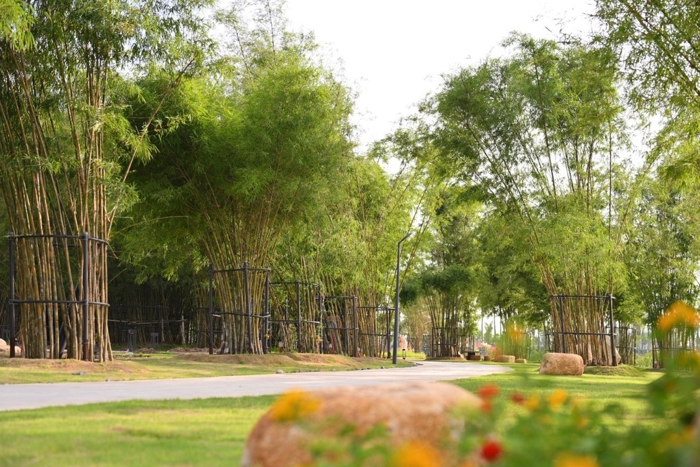 Tin tức 1