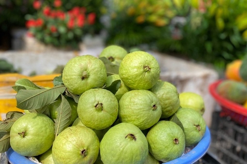 Tin tức 1