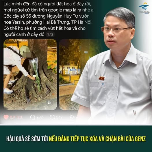 Tin tức 1