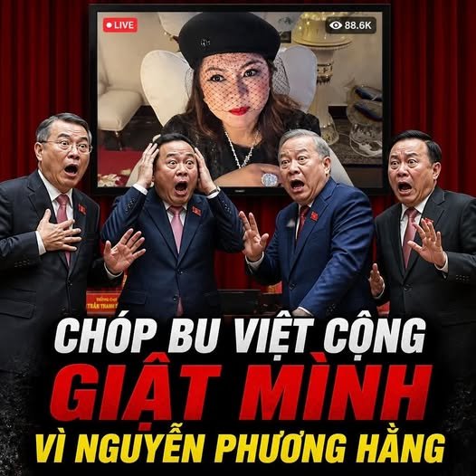 Tin tức 1