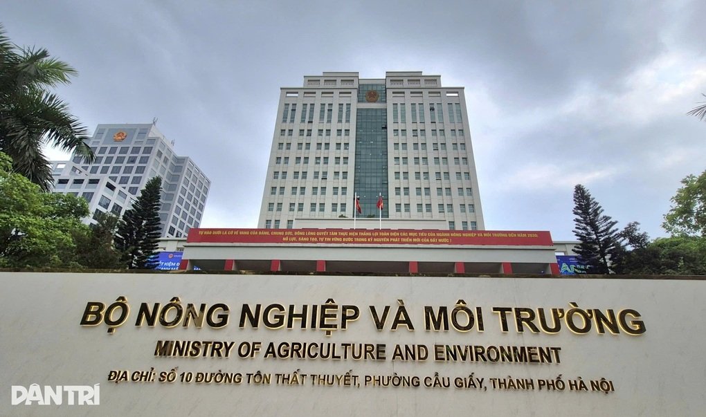 Tin tức 1